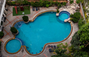 beautiful pool among the trees